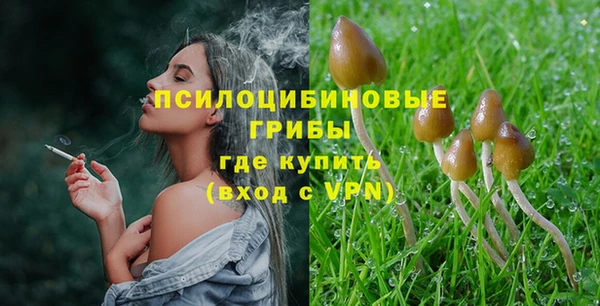 синтетический гашиш Алексеевка