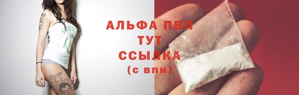 скорость Алексин