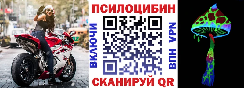 kraken где купить наркоту Кашин Галлюциногенные грибы ЛСД